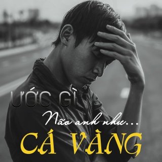 Ước Gì Não Anh Như Cá Vàng - Various Artists
