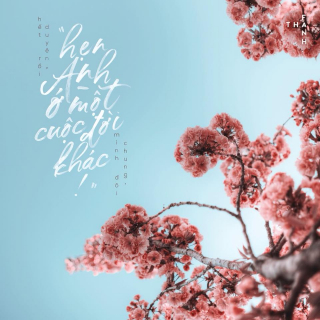 Hẹn Anh Ở Một Cuộc Đời Khác - Various Artists