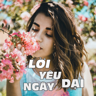 Lời Yêu Ngây Dại - Various Artists