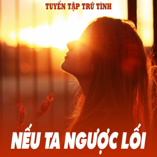 Nếu Ta Ngược Lối (Tuyển Tập Trữ Tình) - Various Artists