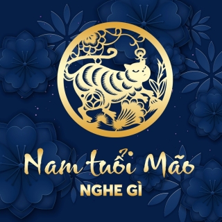 Nam Tuổi Mão Nghe Gì? - Various Artists