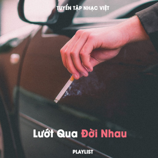 Lướt Qua Đời Nhau - Various Artists