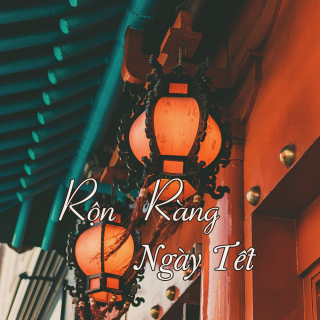 Rộn Ràng Ngày Xuân - Various Artists