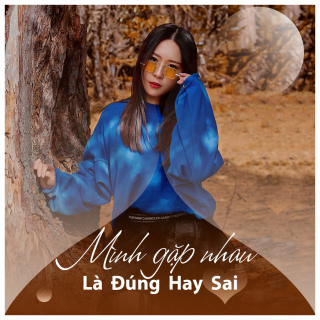 Mình Gặp Nhau Là Đúng Hay Sai - Various Artists