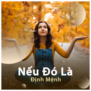 Nếu Đó Là Định Mệnh - Various Artists