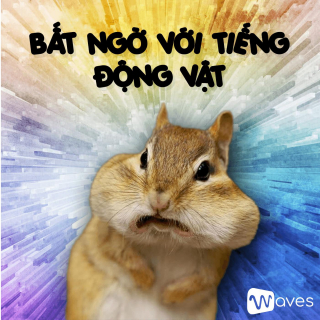 Cáo kêu như thế nào? - Sự thật khiến bạn không thể ngờ