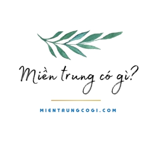Nguồn Gốc Và Cách Chế Biến Rượu Bầu Đá Bình Định