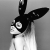 Ariana Grande,Meghan Trainor,Who Is Fancy