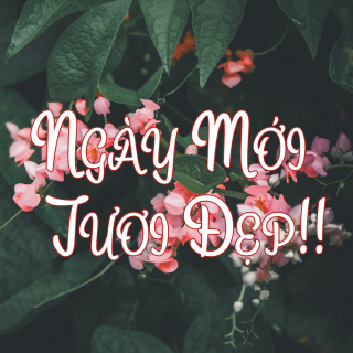 Ngày Mới Tươi Đẹp - Various Artists